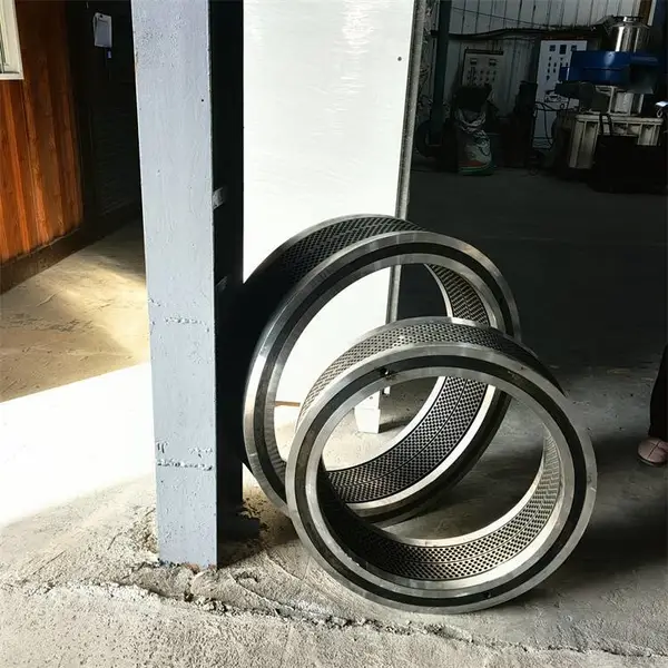�����ʿ�������� ����� �ٻ�������ģ�߻�ģ �׾��ɶ���
