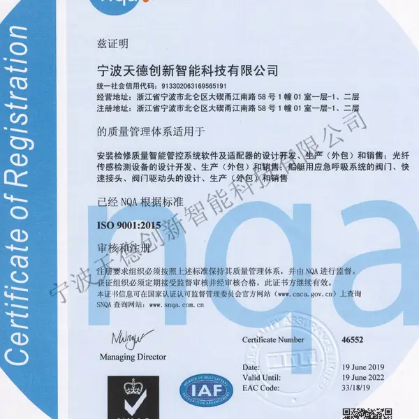 ISO 9001 2015中版文