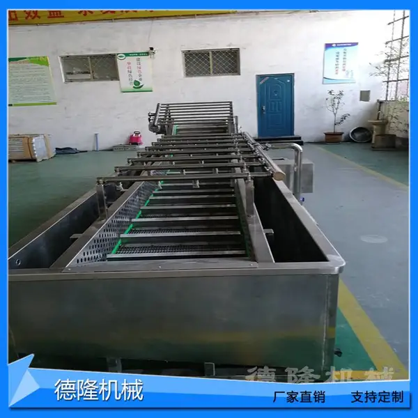 定做网带输送线果蔬流水线清洗机常温蘑菇风干设备