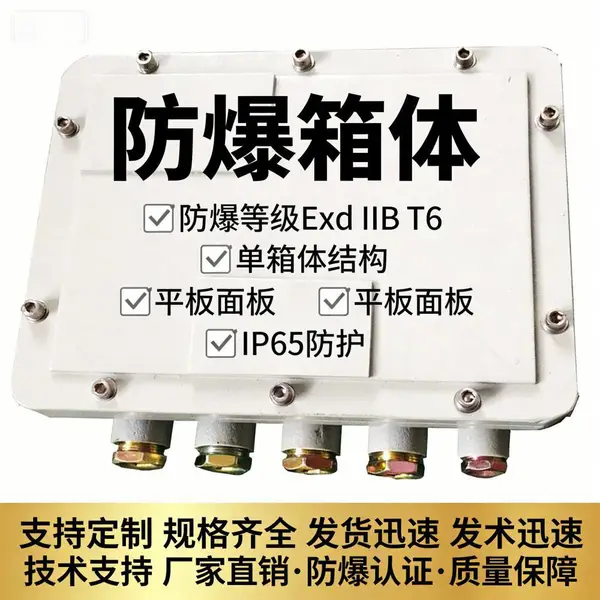 防爆配电箱 BXMD 成套不锈钢接线箱 增安型分线端子箱