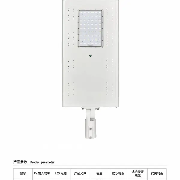 大周光电ZJ88-60W新农村6米太阳能工程路灯
