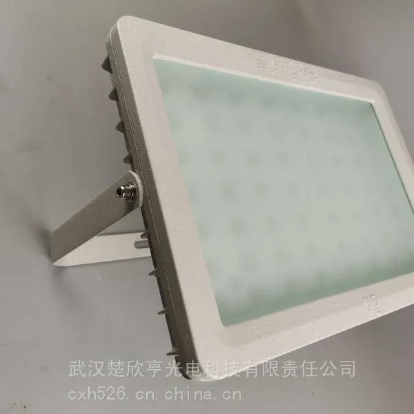 LED泛光灯YHTG150-AI 防水户外灯室外灯泛光灯250W 100W投射灯