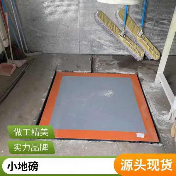 小地磅全规格 工业称重台秤 广州直销支持物流