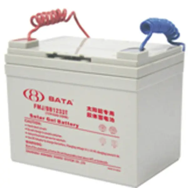 �Ϻ��豴����BATA��FM/BB12200T�豴����12V200AH Ǧ����ά������ֱ����ר��