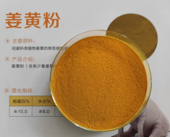 饲料姜黄粉 姜黄素 饲料载体填充物动保饲料调节肠道护肝利胆