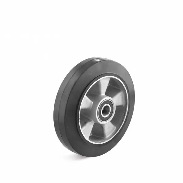 �¹�TORWEGGEʵ������ 0013231���������๤ҵӦ��
