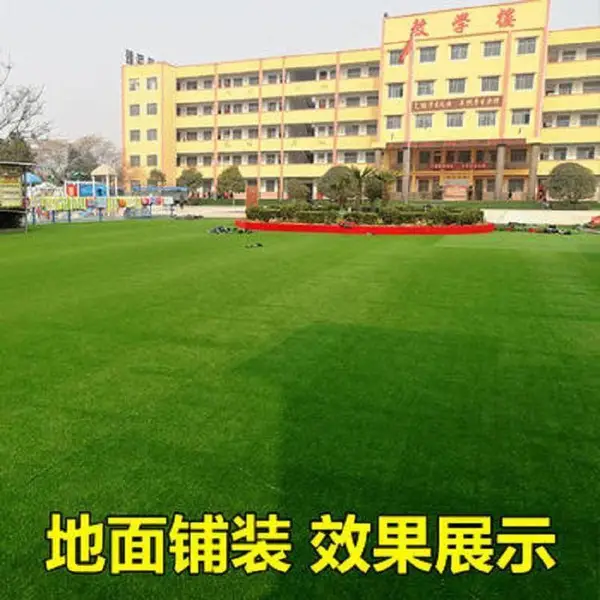带土草坪 真草坪庭院绿草皮四季青果岭草 康昱园林