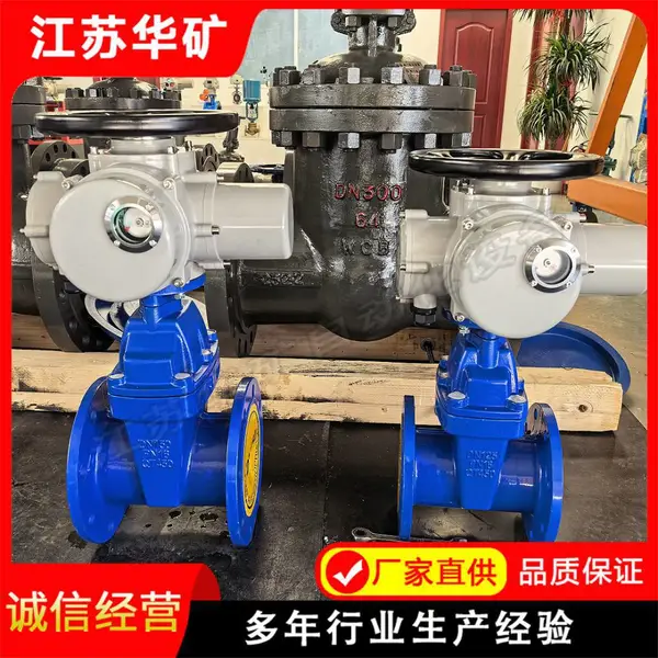 DN50 暗杆式软密封闸阀Z945X-10Q 电动远程控制消防管网配套闸阀