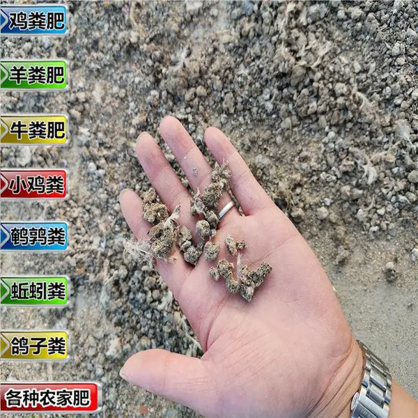 雏鸡粪出售鹌鹑粪批发商水产肥报价单鱼肥发酵羊粪价格水肥
