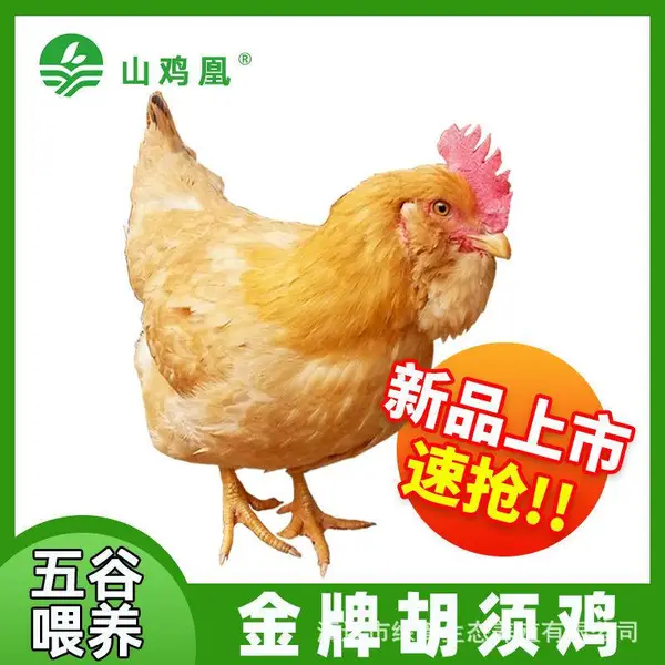 胡须鸡 正宗龙门三黄胡须鸡 鸡肉正宗土鸡农家散养走地鸡草鸡