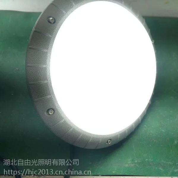 BLED61防爆泛光灯|LED化工仓库吊杆灯(IIC)
