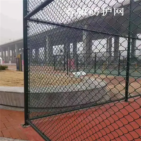 ���������������������˶�������Χ�� ��������ɫ����˿����Χ��