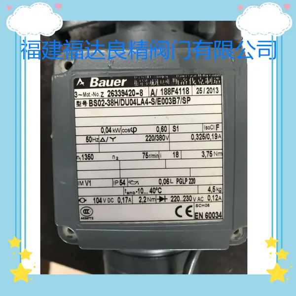 �¹�BAUER�������ٵ��BS02-38H/DU04LA4-S/E003B7/SP