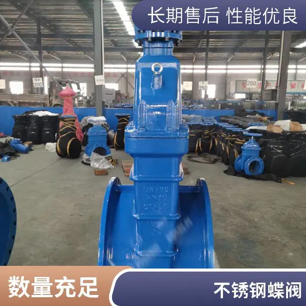 ����ִ�ھ����µ���˫���Ź�Ӧ DT943H ���������� DN200-400