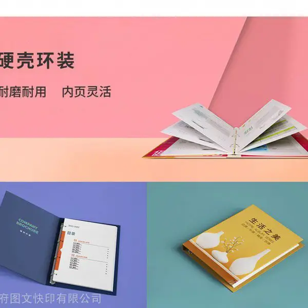 济南电子画册设计 电子宣传册制作 LOGO设计PPT网页版画册