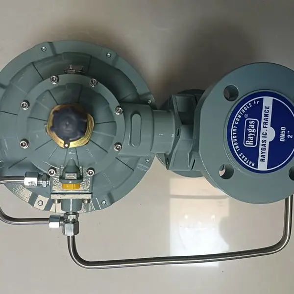 ȼ����ѹ�� 299H��ѹ�� ����RAYGAS ��������