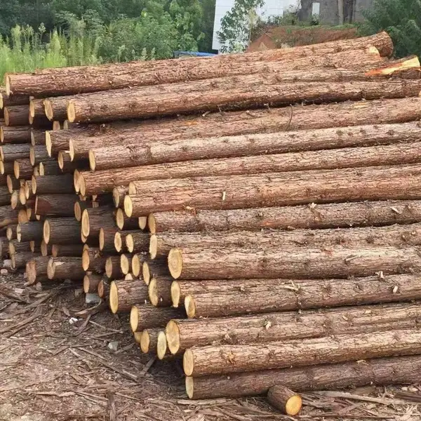 杉木桩打桩木主流应用场景介绍
