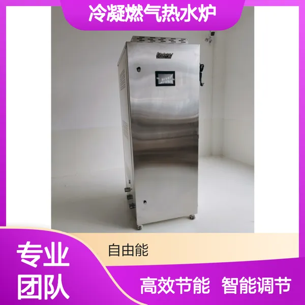 水电分离燃气锅炉 商用热水设备安全不漏电 欢迎致电
