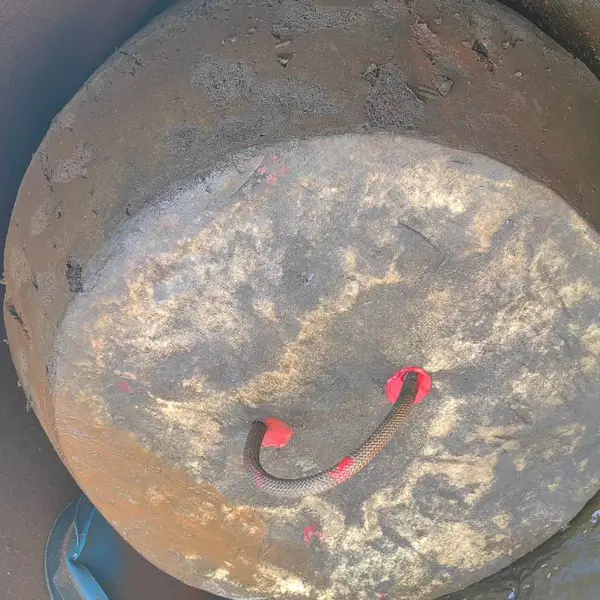 上饶工厂管线积垢通球清洗 彻底清理管壁垢层杂质