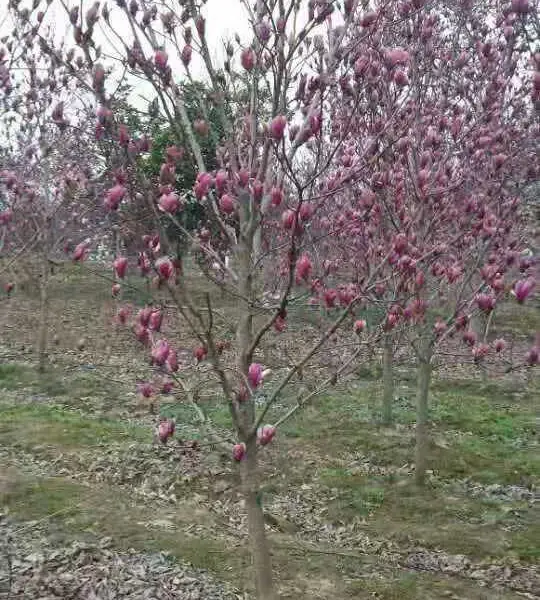 7�����������۸���س���