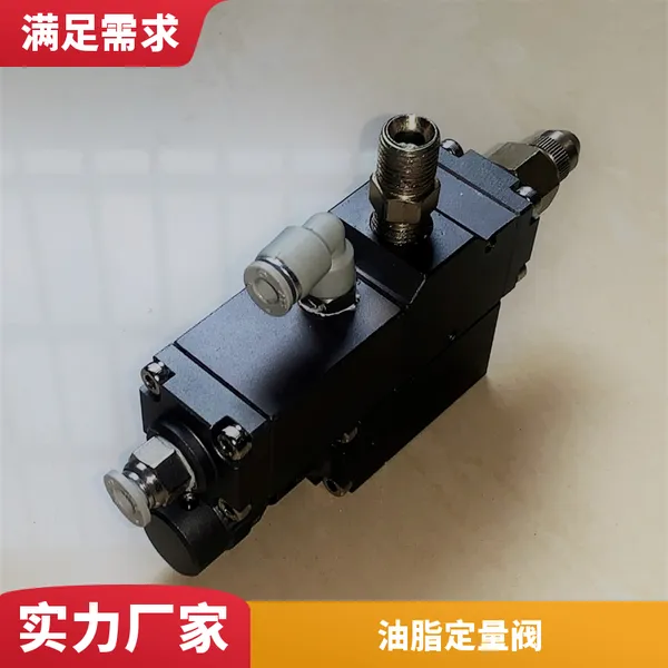 安装简单 液体 汽车美容护理 ZH10 10g油脂定量阀
