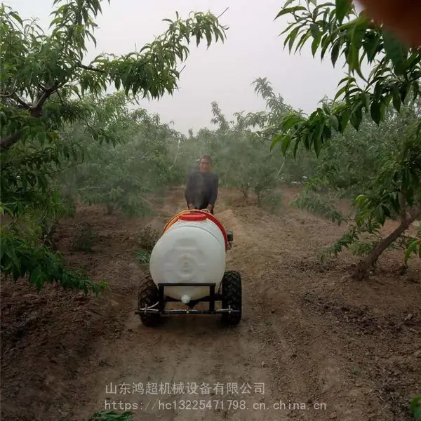果园用打药机 不伤苗 自走式三轮车高压打药机