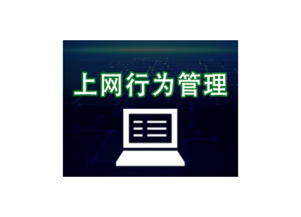 上海企业部署上网行为管控产品 值得信赖 上海迅软信息供应