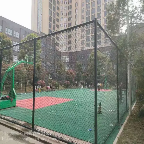 鹏隆球场围网 学校球场围栏 操场护栏网 足球场围栏网