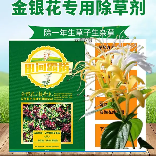 田间霸道金银花专用除草剂金银花苗后除草剂安全高效禾阔双除不伤苗