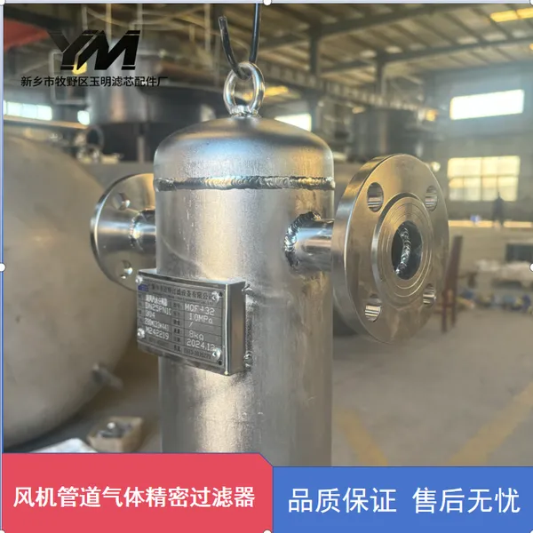 大口径旋风式气液分离装置 电厂主蒸汽管道脱水案例 玉明过滤大通量耐压定制