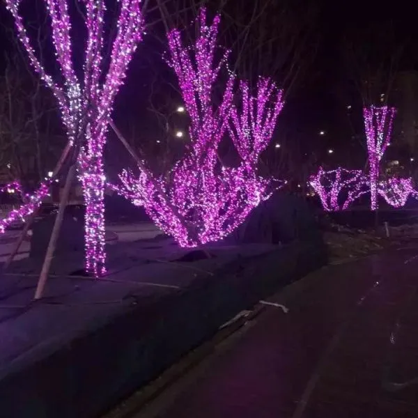 ����������� led������Ʒ ����ר��LED�ʵ� ��ľ��������