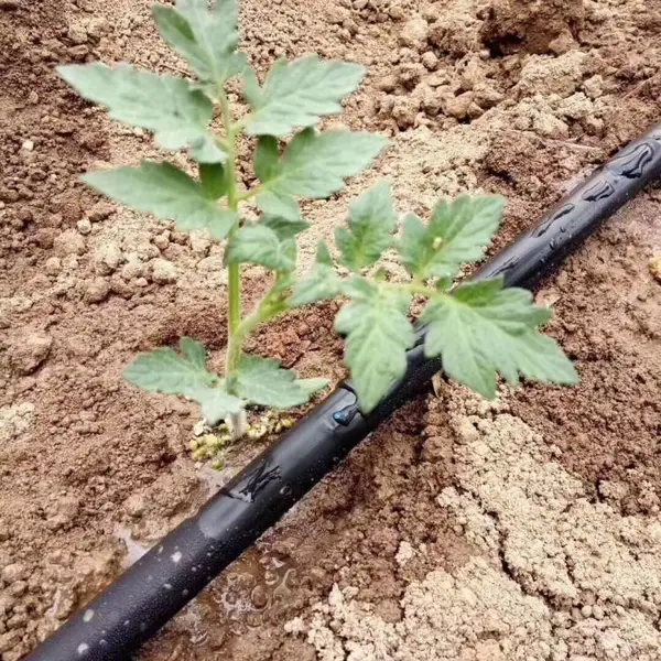 温室大棚灌溉喷淋设备滴灌材料水肥一体化管材配件价格