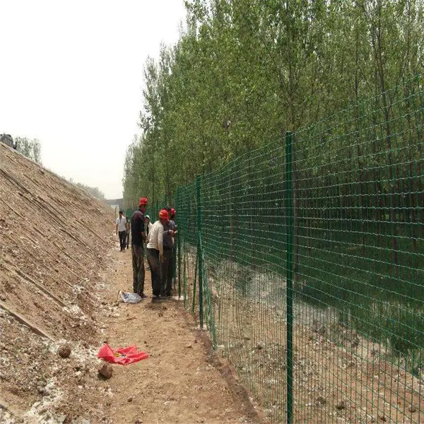 养鸡鸭护栏围栏 野山鸡场地包塑围网 铁丝网围栏围墙