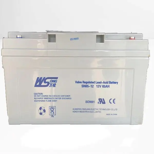 ��������SN65-12ֱ����12V6***H���� ��վ ���� ͨѶUPSӦ����Դ