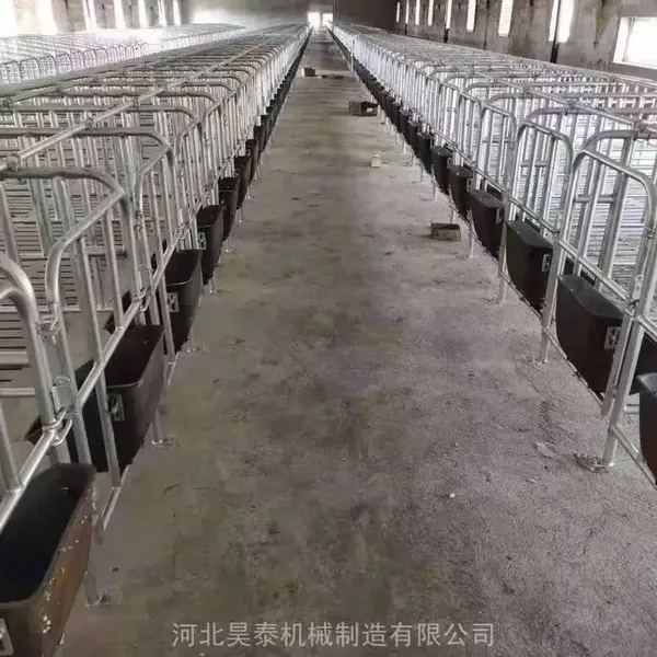 双体式母猪产床 单体式母猪产床 母猪产床批发生产