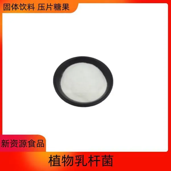 植物乳杆菌 100亿/g 乳酸菌 益生菌冻干粉 新资源食品原料