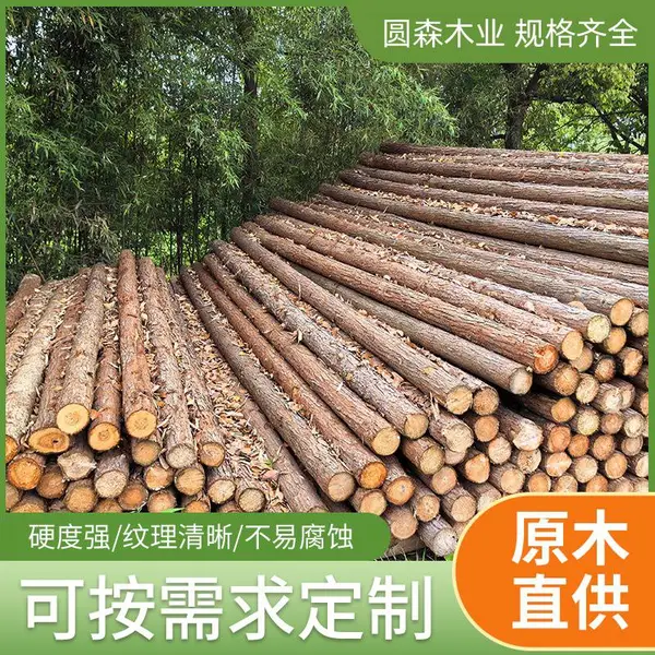 杉木绿化支撑架 移植树木固定防大风刮倒 福 建圆森木业 自有林场