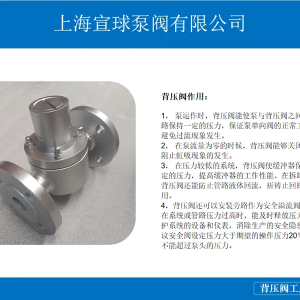 GHBYF-10P 四氟膜片式SS316L不锈钢流量管道法兰衬氟背压阀