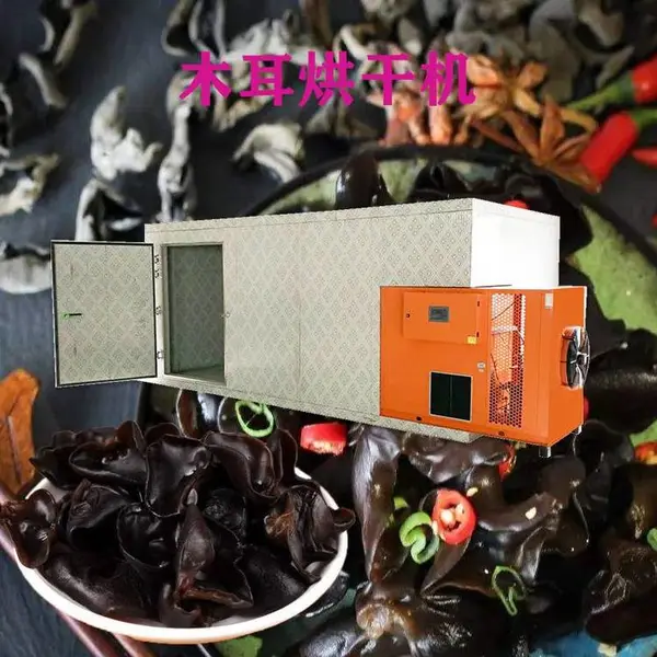 黑木耳烘干机 家用黑木耳烘干箱 蓝天