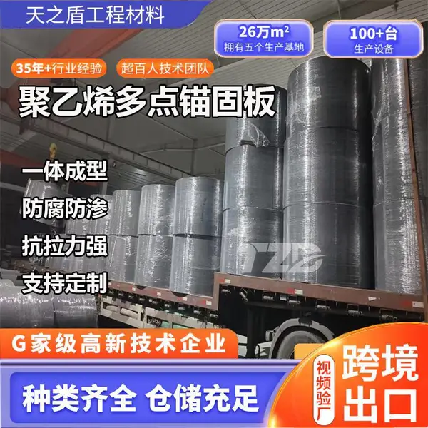 HDPE 多点锚固板 高密聚乙烯防水防腐衬片 耐磨抗渗内衬板材