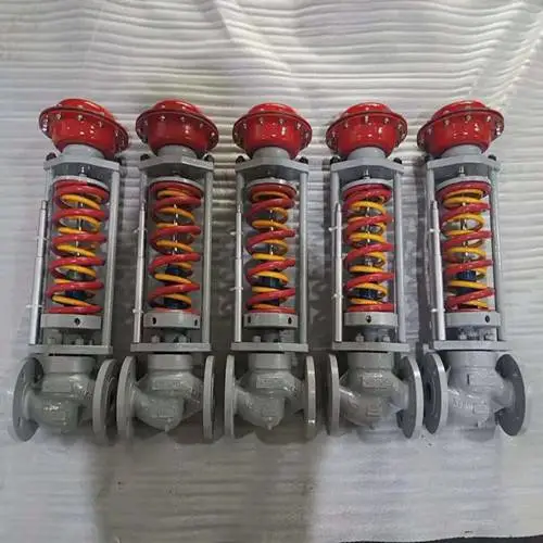 ZZYP-25B DN32����ʽѹ�����ڷ�
