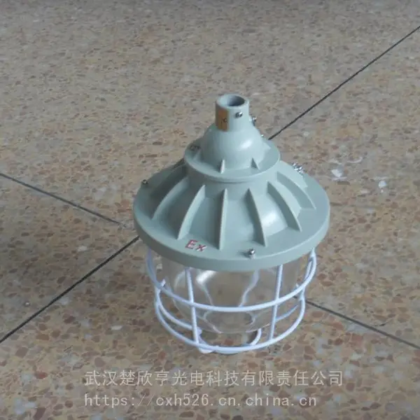 防爆应急照明灯BAJ52 40W螺口式白光应急防爆灯 AC220V 华荣应急防爆