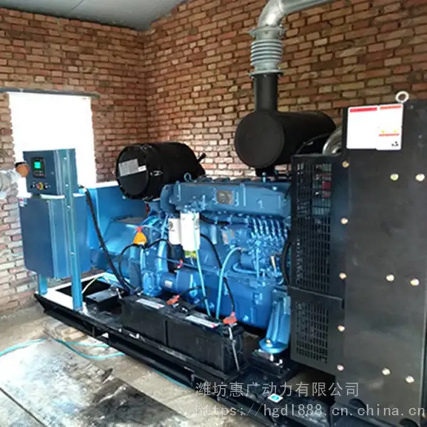 潍柴原装柴油发电机组WPG250B93 滚筒筛沙机配套200KW发电站