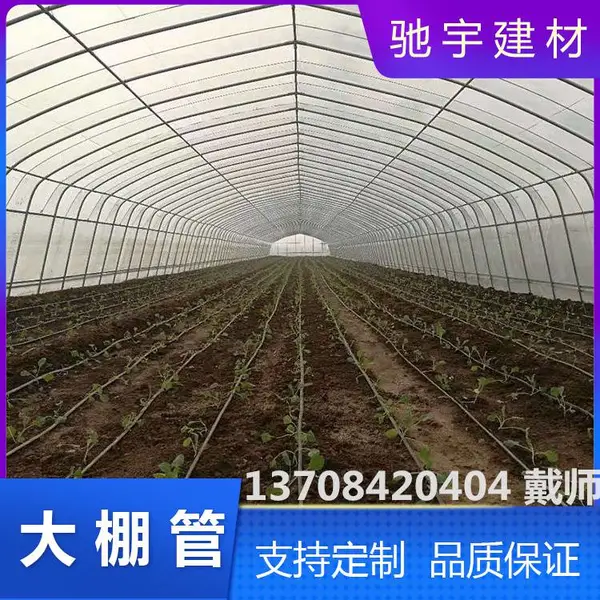 云南套线镀锌管生产厂家价格 西双版纳大棚管 蔬菜大棚建造方法