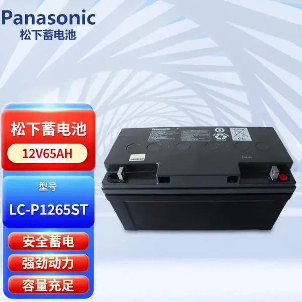 ��������12V65AH Ǧ����ά�� LC-P1265ST UPS��Դ ֱ���� EPS ר��