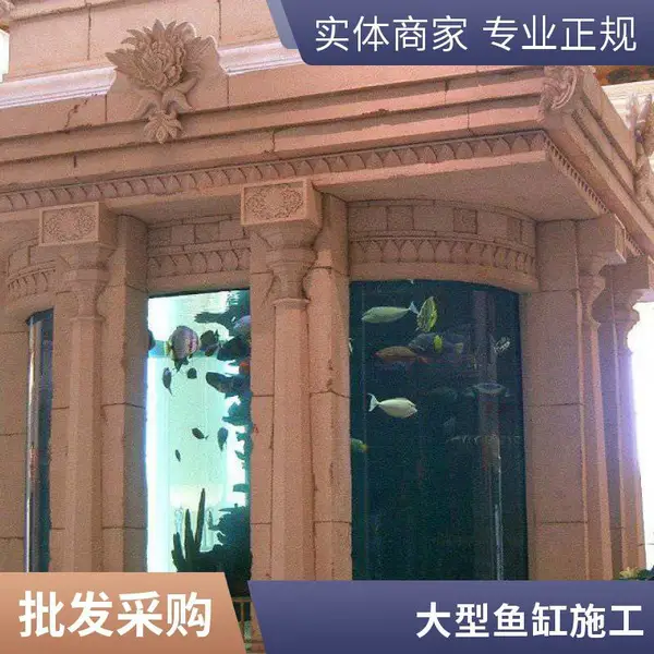 秦海水景 写字楼大堂定制亚克力鱼缸 专业团队设计 全程售后无忧