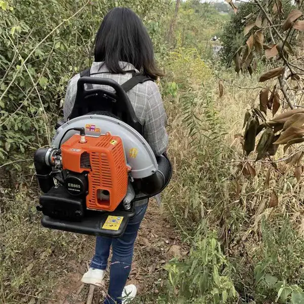 供应落叶吹风机型号和价格 道路施工汽油清扫机 背负式吹雪机使用方法