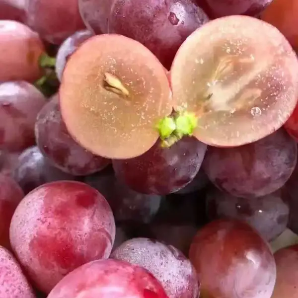 成 都水果供应批 发市场新鲜配送上门精选水果供应酒店食堂单位学校