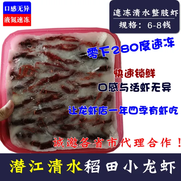 潜江冻虾批发量大从优 潜江发货 人工淡水养殖