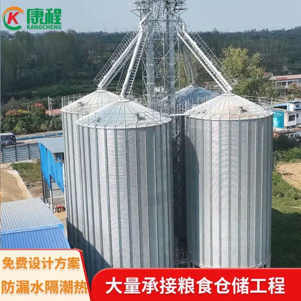 建一个50吨粮仓 养殖场用大豆钢板仓 镀锌钢板料仓康程